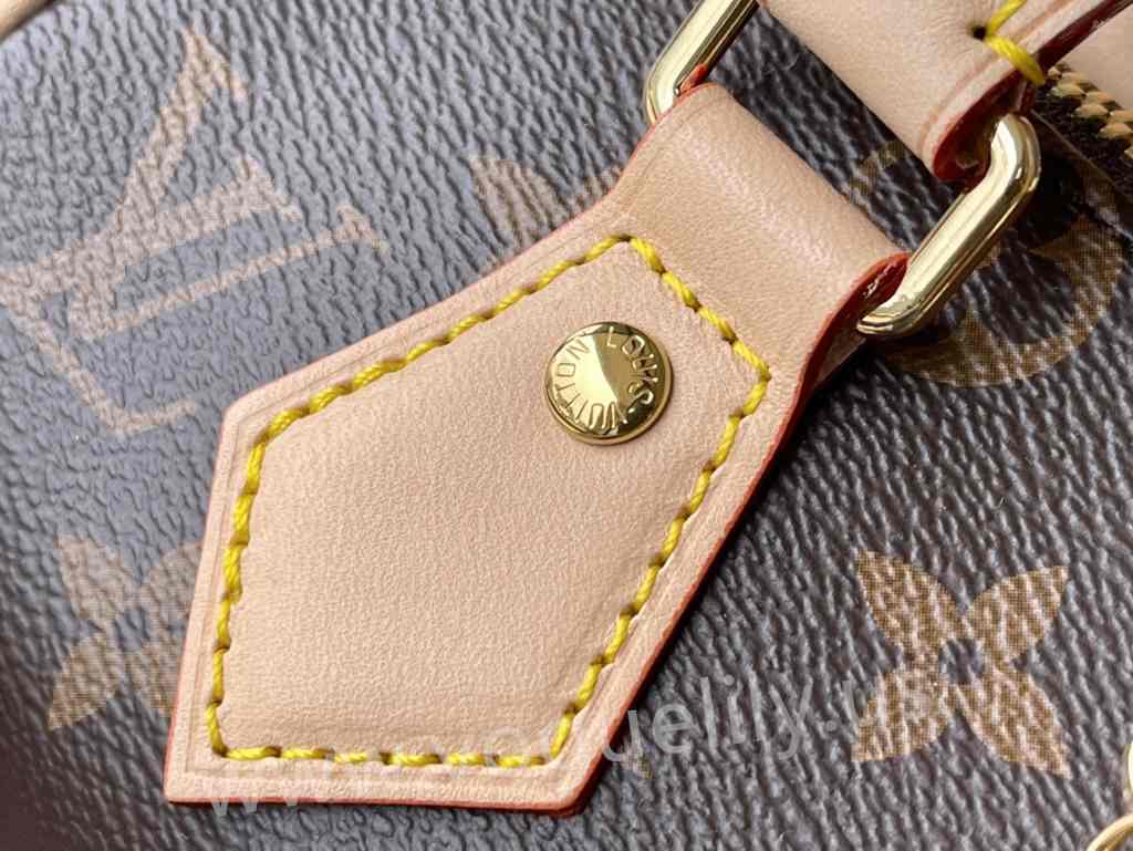 M46222 Speedy Bandouliere 20 M46222 Speedy Bandouliere 20