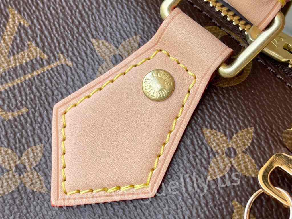 M45957 Speedy Bandouliere 20 M45957 Speedy Bandouliere 20