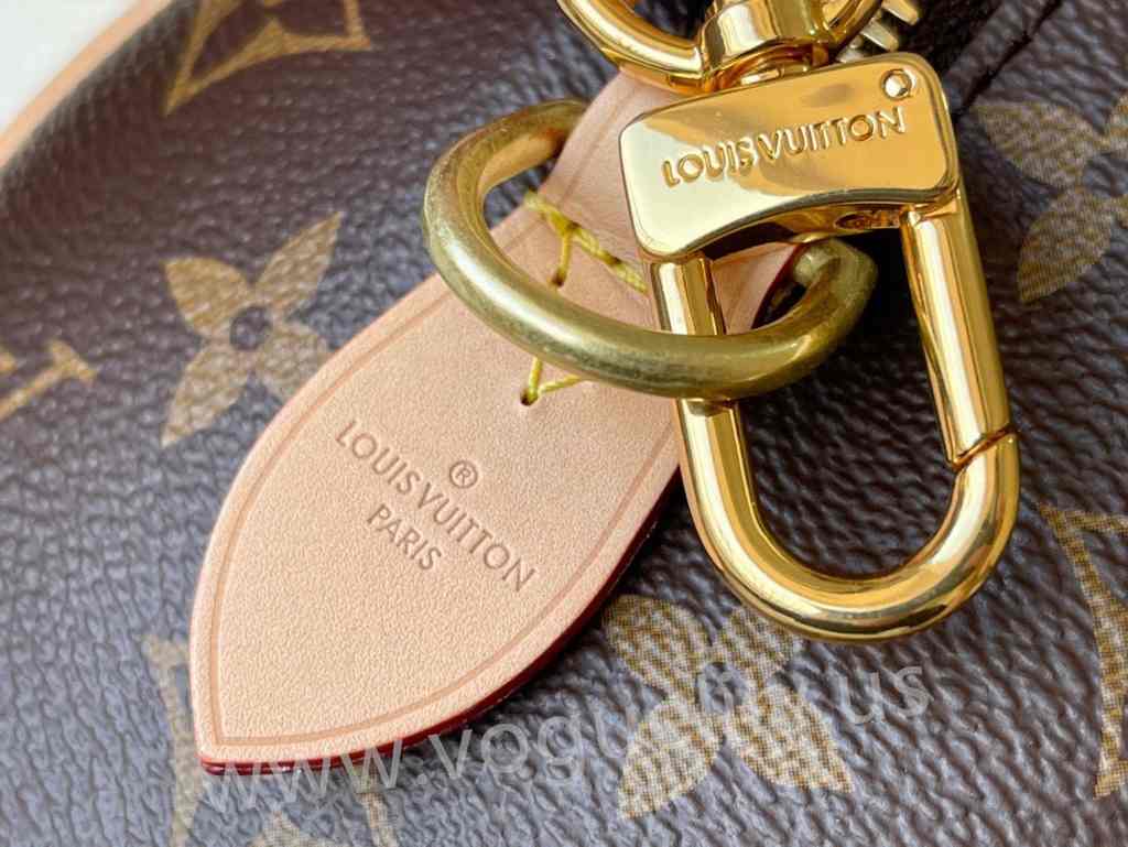 M45957 Speedy Bandouliere 20 M45957 Speedy Bandouliere 20