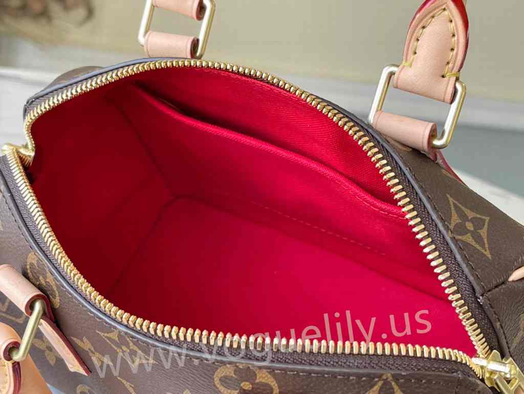 M45957 Speedy Bandouliere 20 M45957 Speedy Bandouliere 20