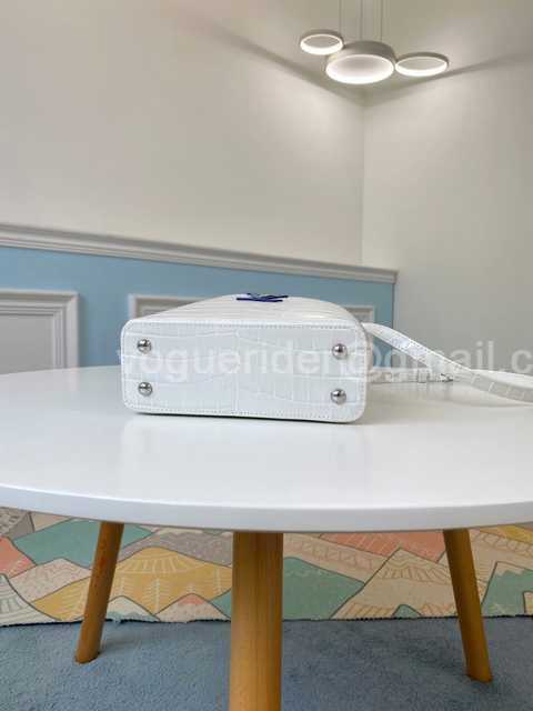 N97995 Capucines mini 21 N97995 Capucines mini 21