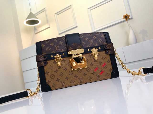 M43596 Pochette Trunk 20