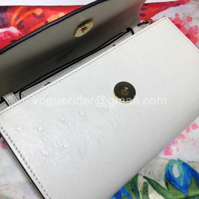 564718 18 ostrich 564718 18 ostrich