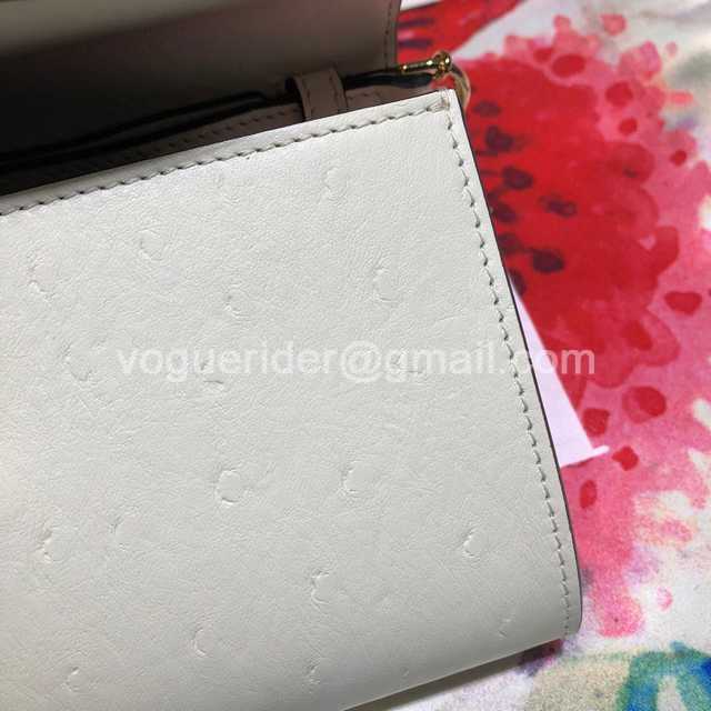 564718 18 ostrich 564718 18 ostrich