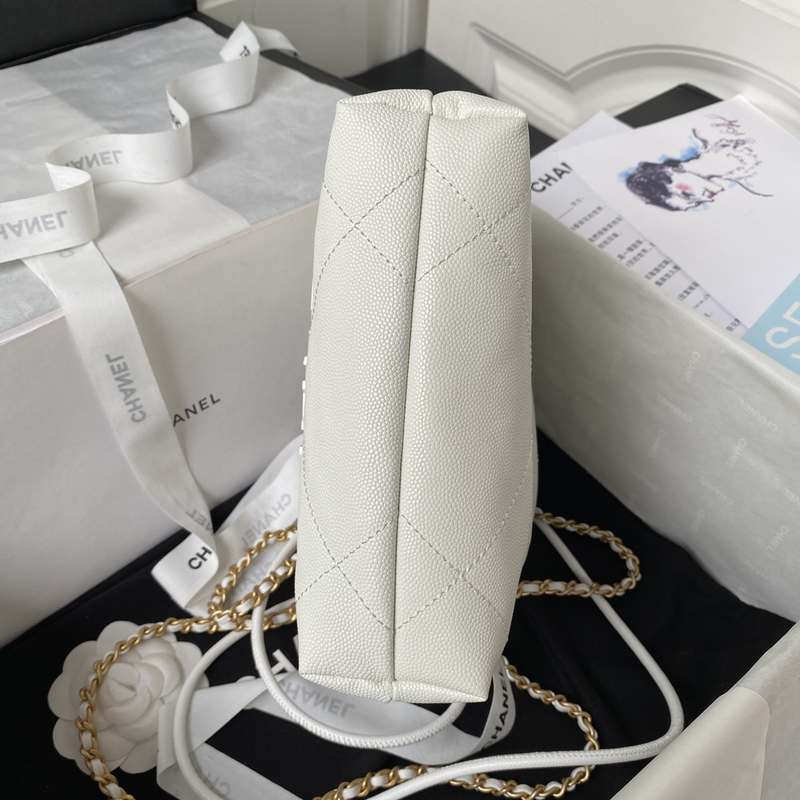 AS3980 Mini 22Bag 20 AS3980 Mini 22Bag 20