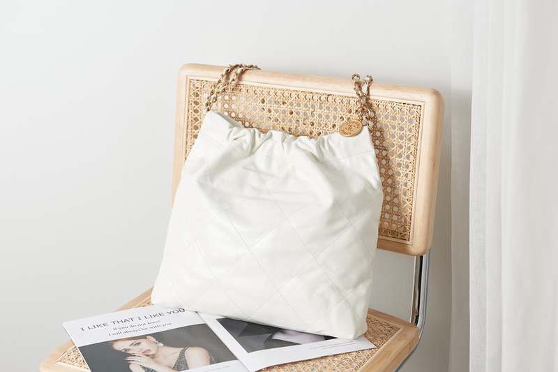 AS3261 22Bag 42 AS3261 22Bag 42