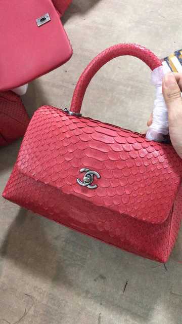 92990 Coco Handle 23 Python