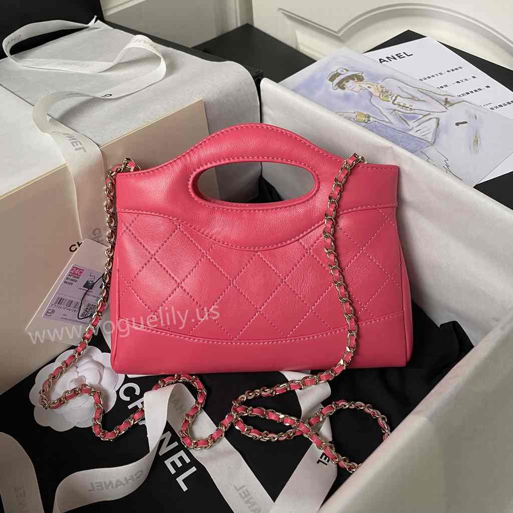 AP3656 31Bag Nano 17 AP3656 31Bag Nano 17
