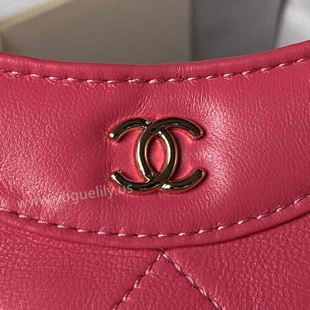 AP3656 31Bag Nano 17 AP3656 31Bag Nano 17