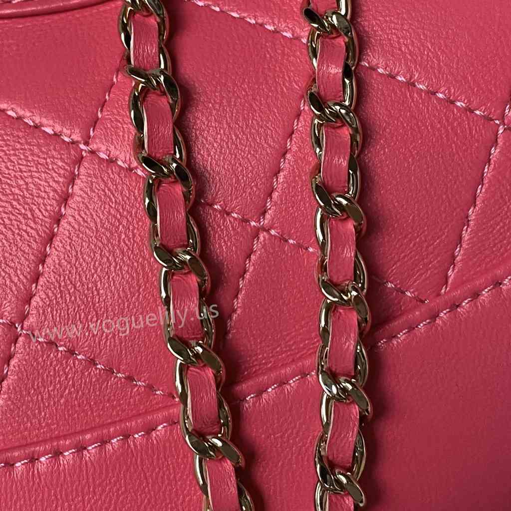 AP3656 31Bag Nano 17 AP3656 31Bag Nano 17