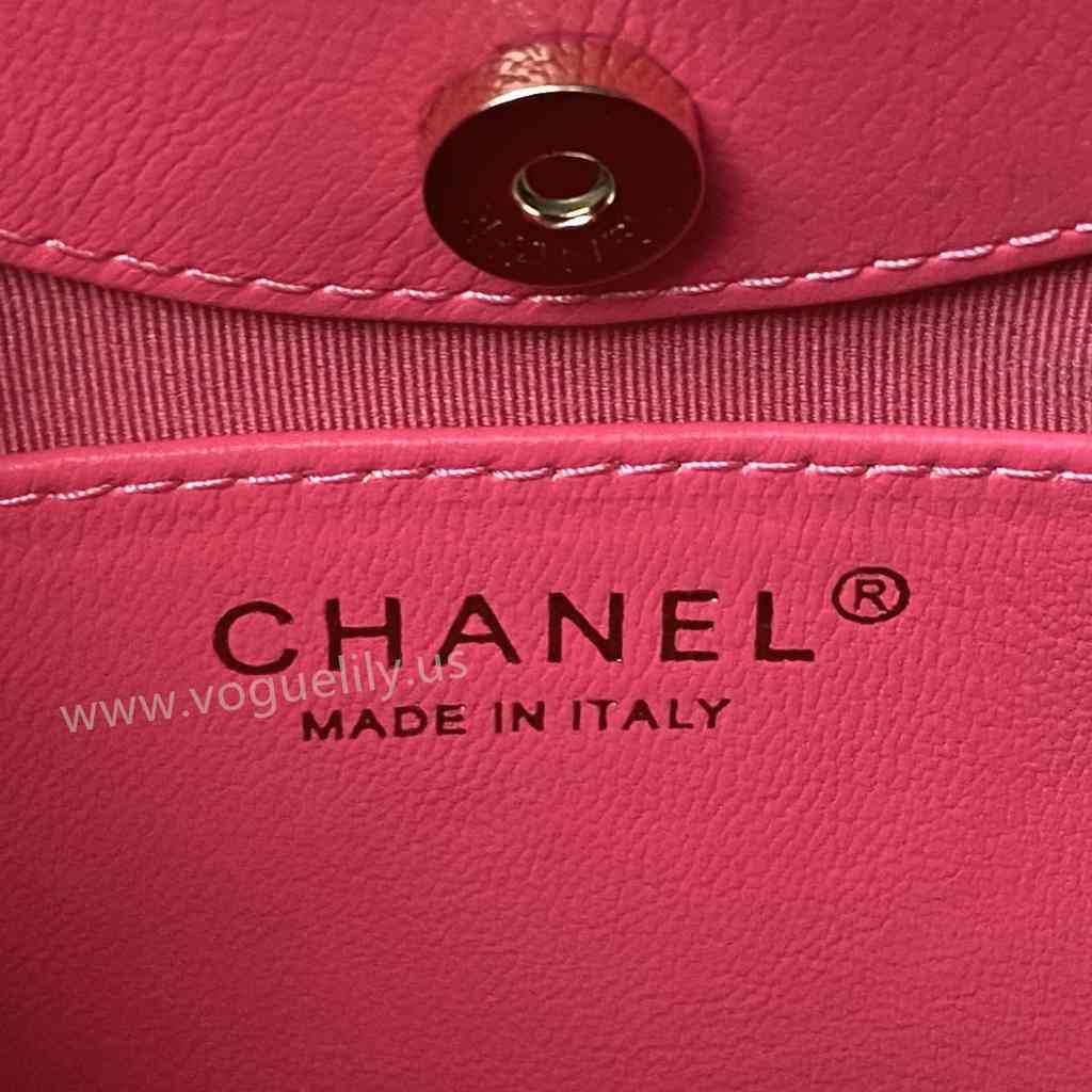 AP3656 31Bag Nano 17 AP3656 31Bag Nano 17