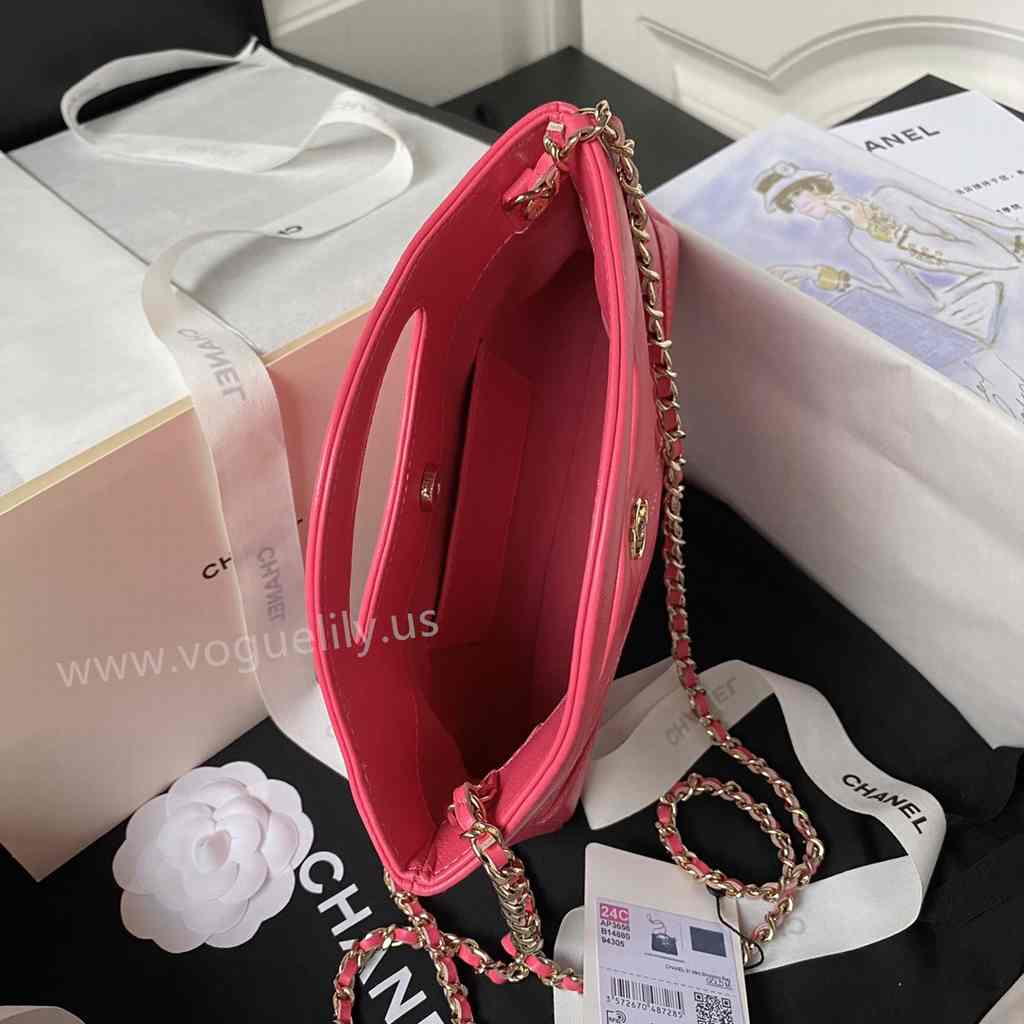AP3656 31Bag Nano 17 AP3656 31Bag Nano 17