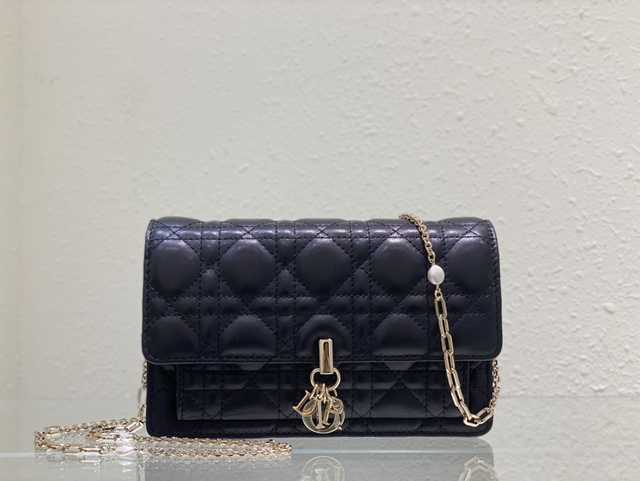 Pearl Chain Bag 19