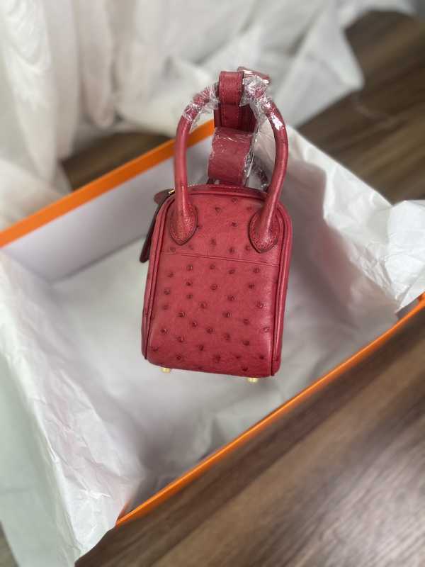 Ostrich Lindy 19 Ostrich Lindy 19