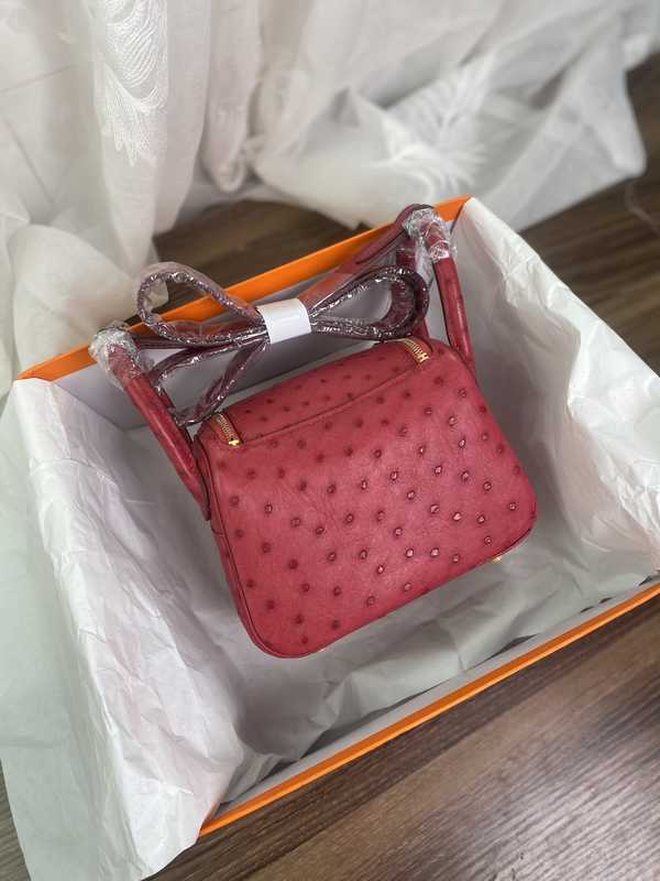 Ostrich Lindy 19 Ostrich Lindy 19