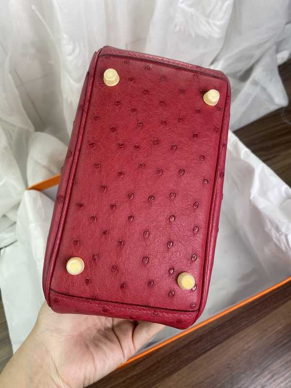 Ostrich Lindy 19 Ostrich Lindy 19