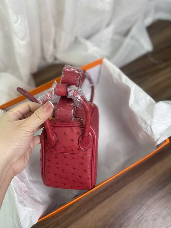 Ostrich Lindy 19 Ostrich Lindy 19
