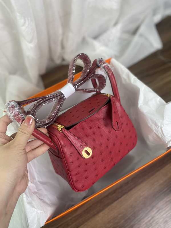 Ostrich Lindy 19 Ostrich Lindy 19