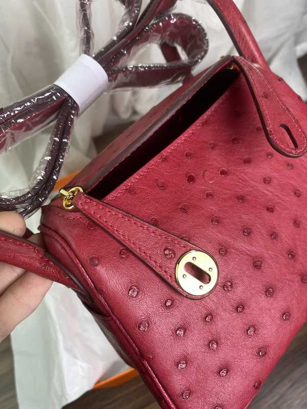 Ostrich Lindy 19 Ostrich Lindy 19
