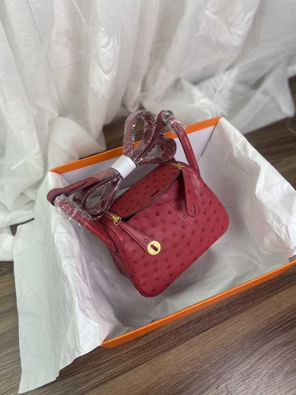 Ostrich Lindy 19 Ostrich Lindy 19