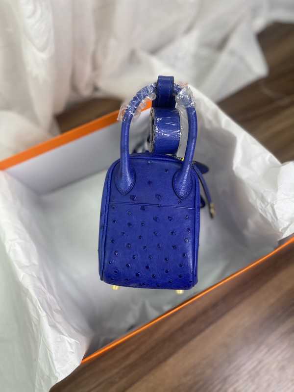 Ostrich Lindy 19 Ostrich Lindy 19