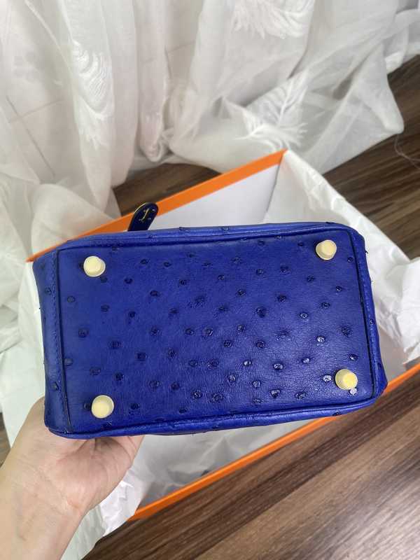 Ostrich Lindy 19 Ostrich Lindy 19