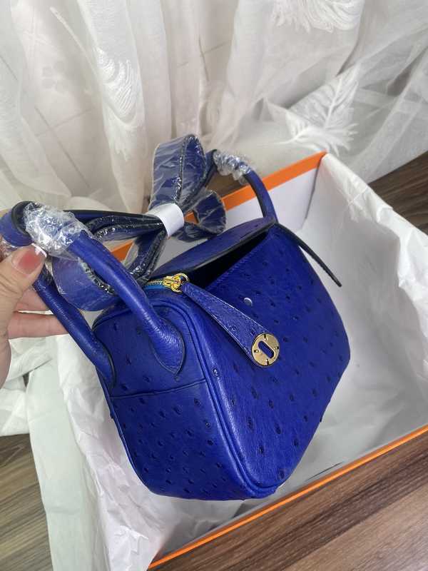 Ostrich Lindy 19 Ostrich Lindy 19