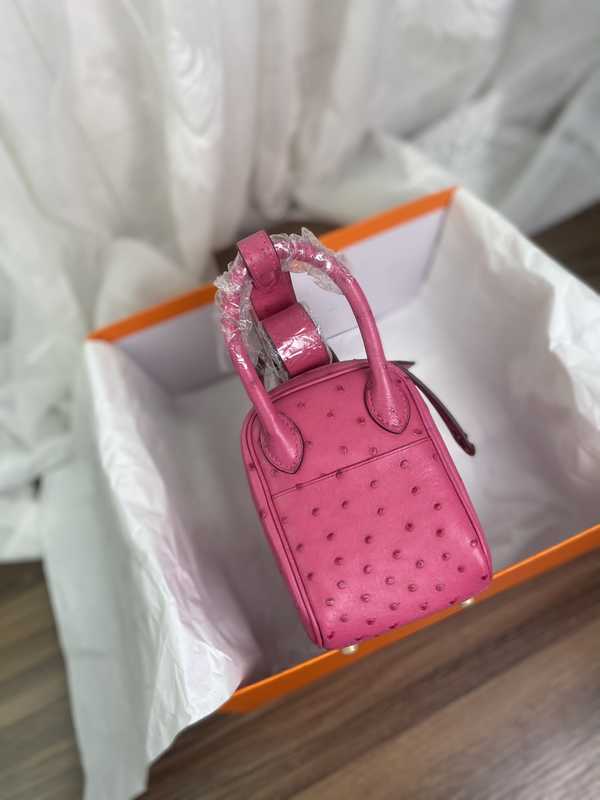 Ostrich Lindy 19 Ostrich Lindy 19