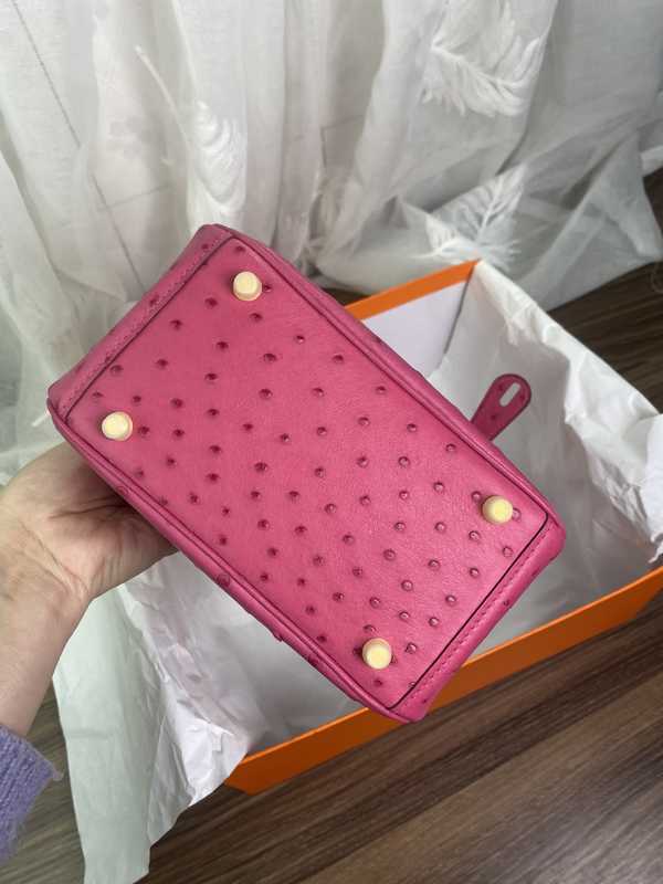 Ostrich Lindy 19 Ostrich Lindy 19