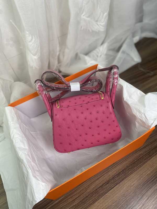 Ostrich Lindy 19 Ostrich Lindy 19