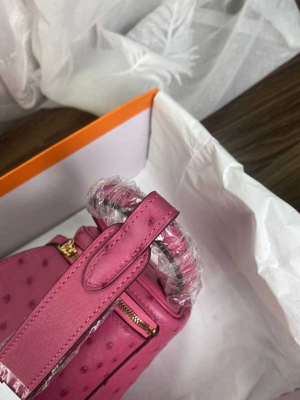 Ostrich Lindy 19 Ostrich Lindy 19