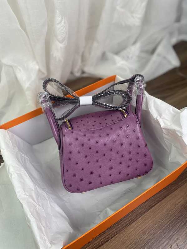 Ostrich Lindy 19 Ostrich Lindy 19