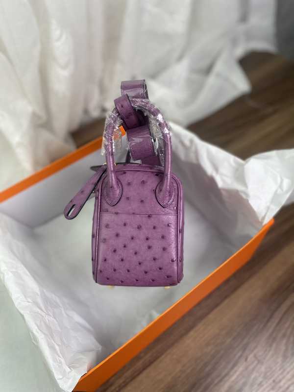 Ostrich Lindy 19 Ostrich Lindy 19