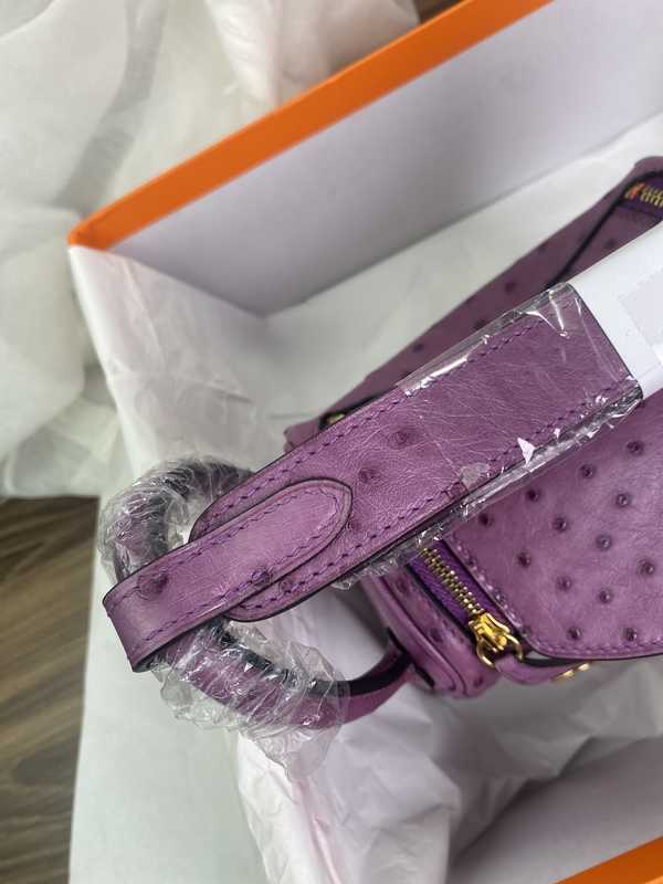 Ostrich Lindy 19 Ostrich Lindy 19