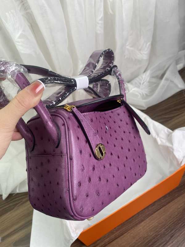 Ostrich Lindy 19 Ostrich Lindy 19
