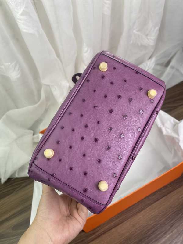 Ostrich Lindy 19 Ostrich Lindy 19