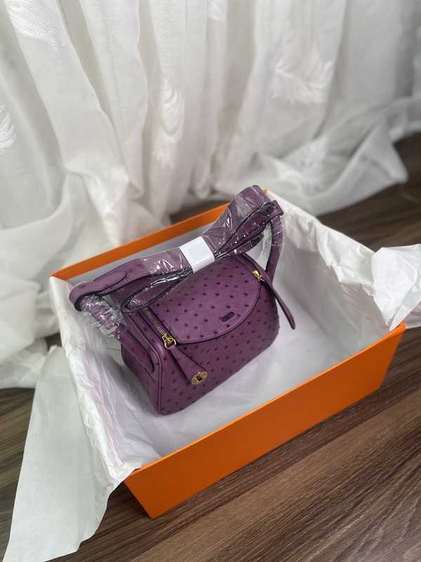 Ostrich Lindy 19 Ostrich Lindy 19
