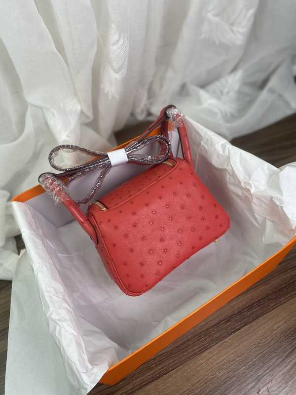 Ostrich Lindy 19 Ostrich Lindy 19