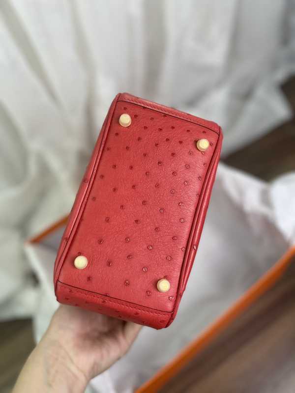 Ostrich Lindy 19 Ostrich Lindy 19