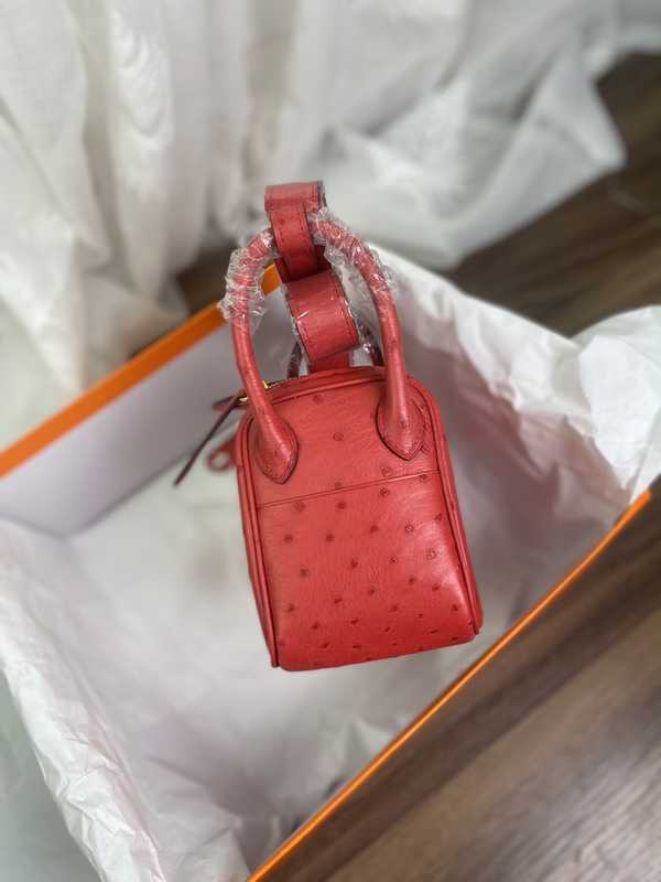 Ostrich Lindy 19 Ostrich Lindy 19