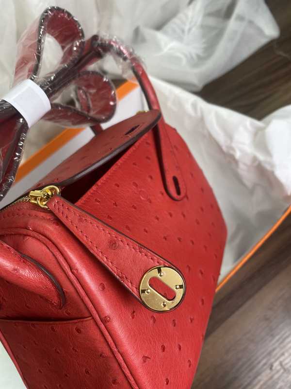 Ostrich Lindy 19 Ostrich Lindy 19