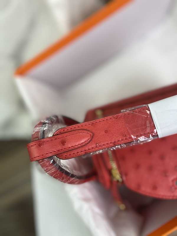 Ostrich Lindy 19 Ostrich Lindy 19