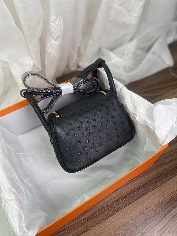 Ostrich Lindy 19 Ostrich Lindy 19