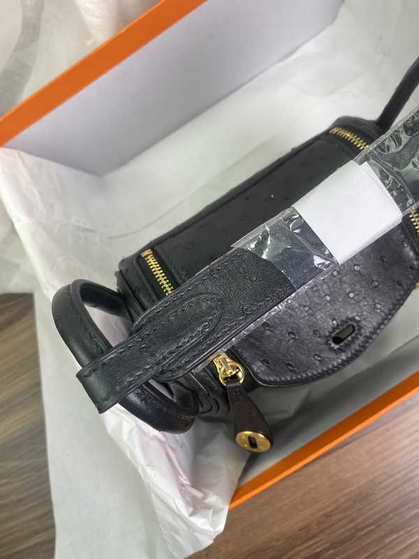 Ostrich Lindy 19 Ostrich Lindy 19