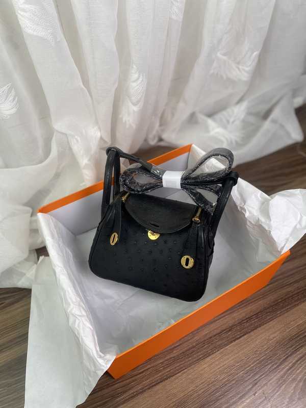 Ostrich Lindy 19 Ostrich Lindy 19