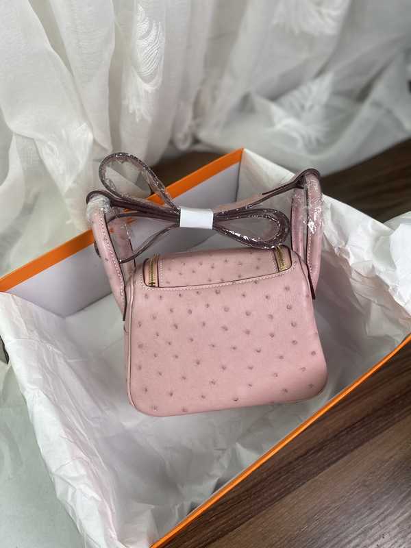Ostrich Lindy 19 Ostrich Lindy 19