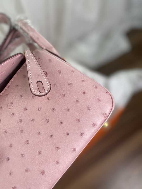 Ostrich Lindy 19 Ostrich Lindy 19
