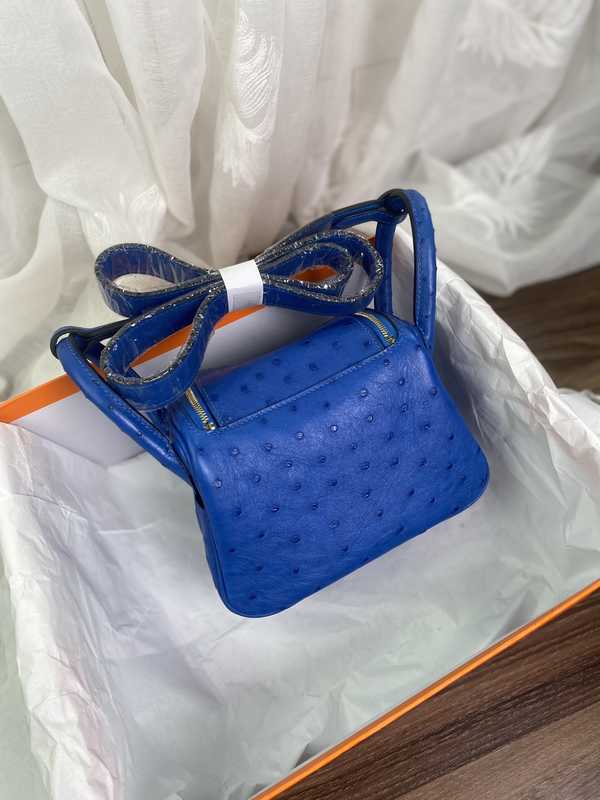 Ostrich Lindy 19 Ostrich Lindy 19