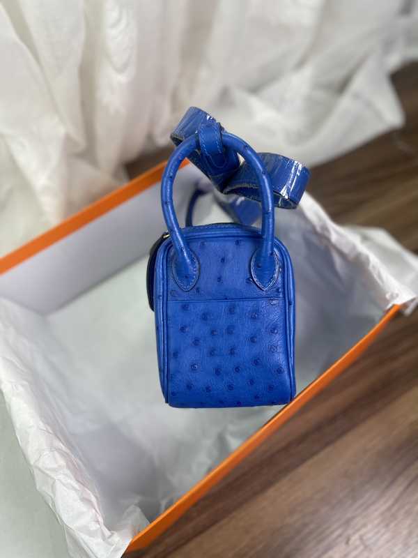 Ostrich Lindy 19 Ostrich Lindy 19
