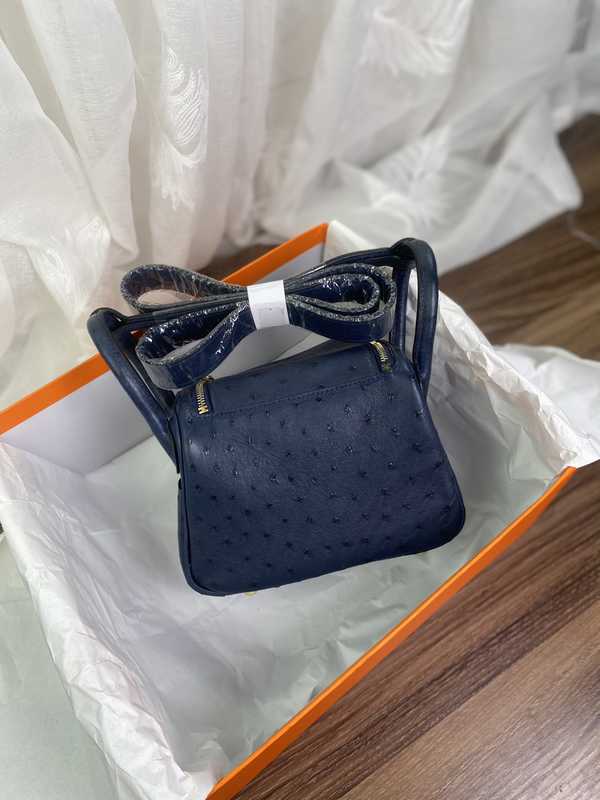 Ostrich Lindy 19 Ostrich Lindy 19